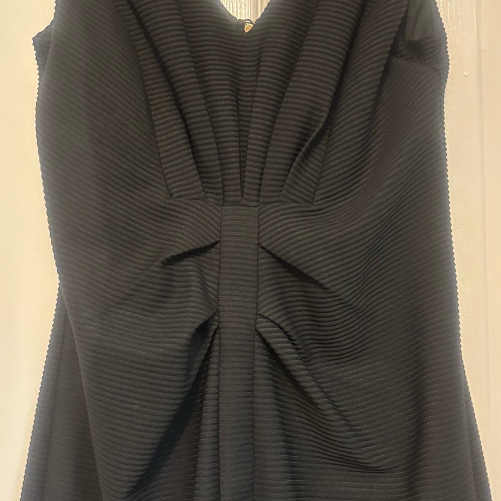 Express Black Ribbed Dress